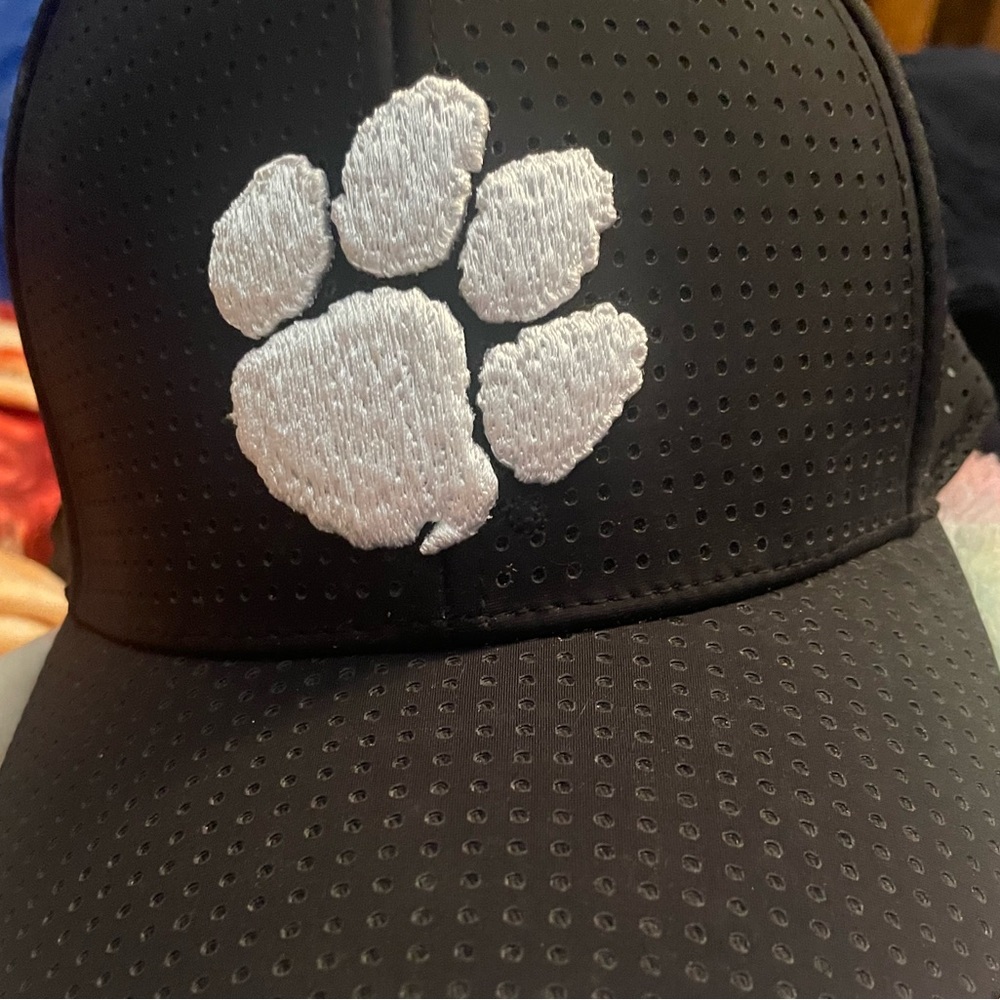 Clemson hat